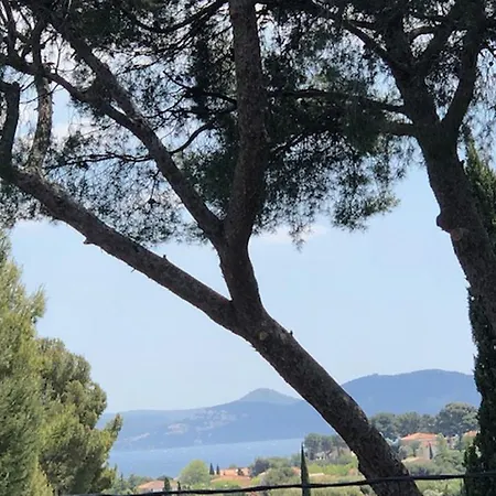 D'hotes Tigre Quartier Residentiel Oda ve Kahvaltı La Ciotat