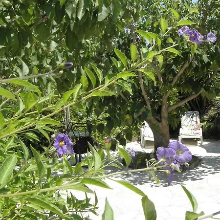 Oda ve Kahvaltı D'hotes Tigre Quartier Residentiel